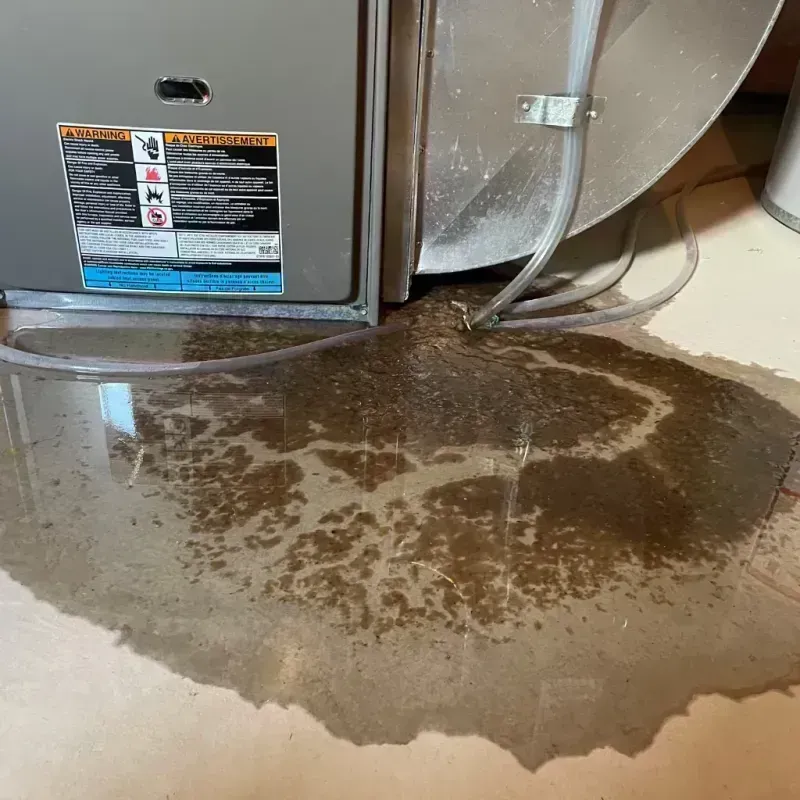 Appliance Leak Cleanup in Kremmling, CO